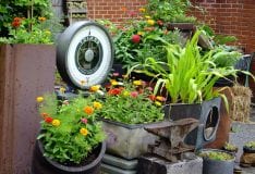 Urban Recycle Garden