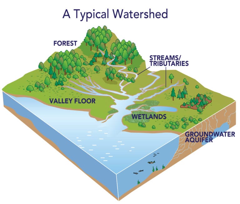 watershed-management