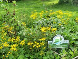 Nurture Nature Center receives 2022 Governor’s Award for Environmental Excellence through the Pennsylvania Department of Environmental Protection