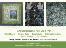 Plant LIfe in Print